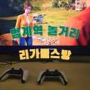 리가 플스방 이미지