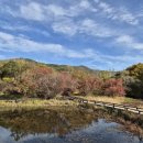 한가람 연합 행정사 사무소 | 25. 11. 14.(금)주요 헤드라인 뉴스