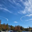 허브농원 이미지