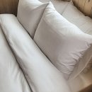 제일세탁 이미지