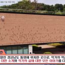 방방곡곡 우리 문화유산 여행 이미지