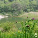 두무대식당 이미지