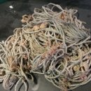 동진수리민속박물관 이미지