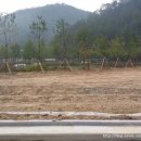 장승초등학교 이미지