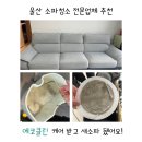 주방가구전문업체숲 | 울산 소파청소 전문업체 추천 에코클린 대만족 리얼후기