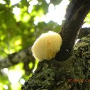 성균목장 이미지