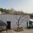 스테이오로지 이미지