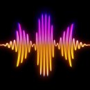 참이비인후과의원 이미지