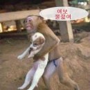 나도