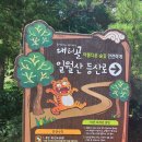 아랫대티 숲 Daum카페