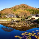 진도 운림산방 이미지