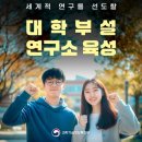 라인교육연구소 네이버블로그