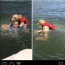 만성리해수욕장(자갈밭) 이미지