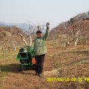 잔가지 파쇄, 기계유제 살포, 석회뿌리기, 지리산 노고단 산행등을 하였습니다. ~~ 이미지