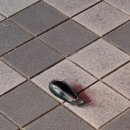 한일교류의길 이미지