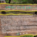 갈잎소펜션 이미지