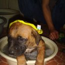 대박세차장 이미지