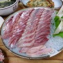 고성 | 고성 맛집 베스트10 추천 후기 포함