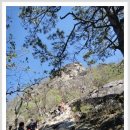 금강(부산) 이미지