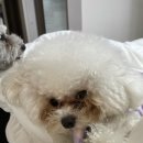 삼개식당 이미지