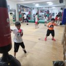 진천복싱체육관 이미지