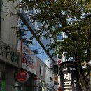 파리바게뜨포항창포점 이미지