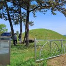 신덕고분군 이미지