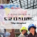 주식회사 인스타짐 독산역점 | 6살 딸이랑 단둘이 도쿄 디즈니랜드 다녀왔어요 (1탄) _ 대문자 P엄마의 우당탕탕 디즈니후기