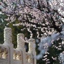사진공원 - 사상구 사상로 208-1 | 사진공원
