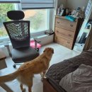 월영동142 이미지