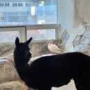 마리앤쥬 이미지