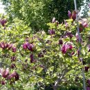 솔소리농장 이미지