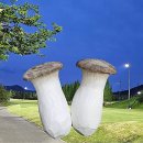 으랏차주먹고기 이미지