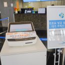 ㈜중앙환경 | 겨울 제주도 여행 혼자 제주도 서귀포 가볼만한곳 추천