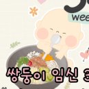 열매열무2 이미지