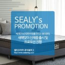 씰리침대 이미지