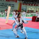 메가스태권도장 이미지