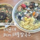 부산 기장 해물가득한 일광 맛집 : 해운대 31cm 해물칼국수