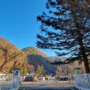 옥천목욕탕 이미지