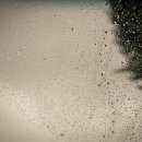 청려원동물병원 이미지