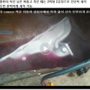 프로모터스자동차공업사 | 찌들고 묵은 흡기 메뉴 폴더를 OK 디카보나이져로 약품 악취없이 안전 신속 고압 세척 동영상.