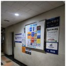 공유헤어 | 안양메이크업 로우번 헤어 과즙 메이크업 후기 공유해요~