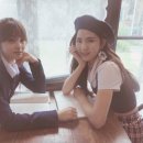 드림라이크