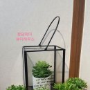 땡쓰미미