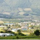 죽장면 참느리 이미지