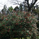 글라라목장 이미지