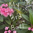 My 3rd Bali &amp; Gili | 말레이시아에어 쿠알라룸푸르 경유, 짱구 쇼핑 코스, 길리T 와하나 패스트페리 후기