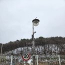 골든밸리마트