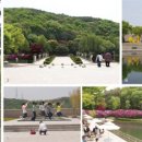 서울산책 이미지