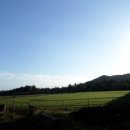 표선면-2 이미지